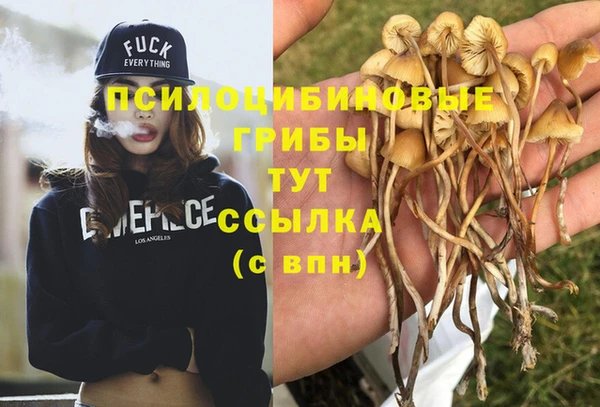бошки Аркадак