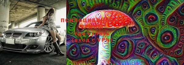 бошки Аркадак