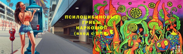 бошки Аркадак